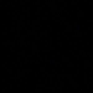 Meet your Posher, Jamila